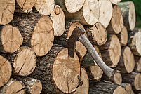 Cum să alegi și să depozitezi lemnele pentru o ardere perfectă